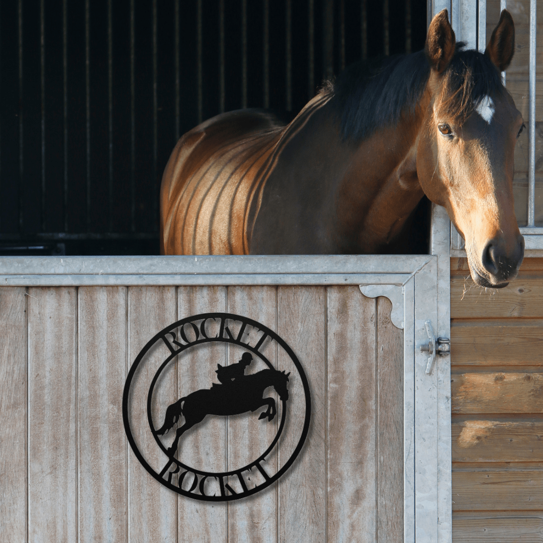 Wall Art Black / 12 Inch Equine Ballet Nameplate