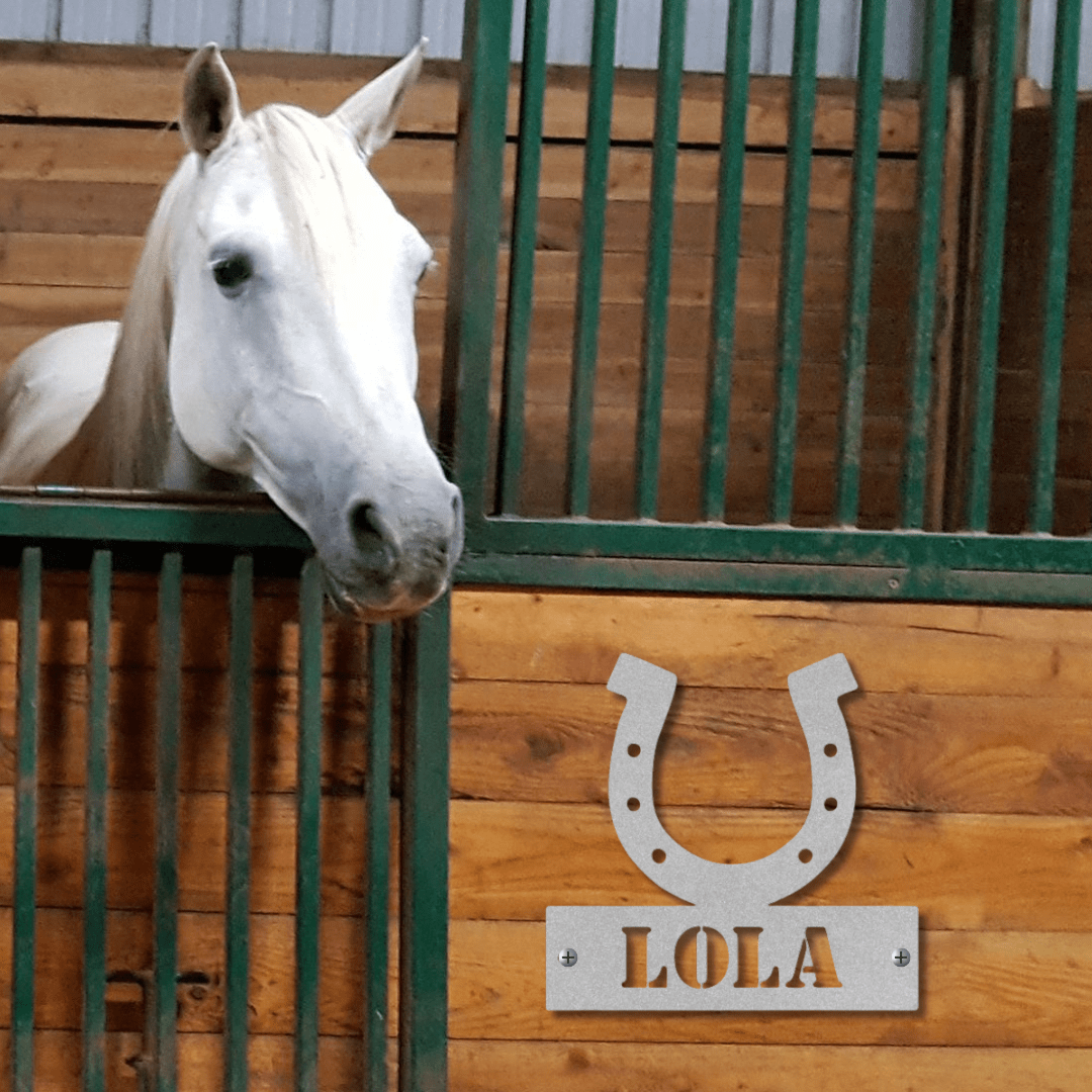 Wall Art Silver / 12 Inch Timeless Horseshoe Nameplate