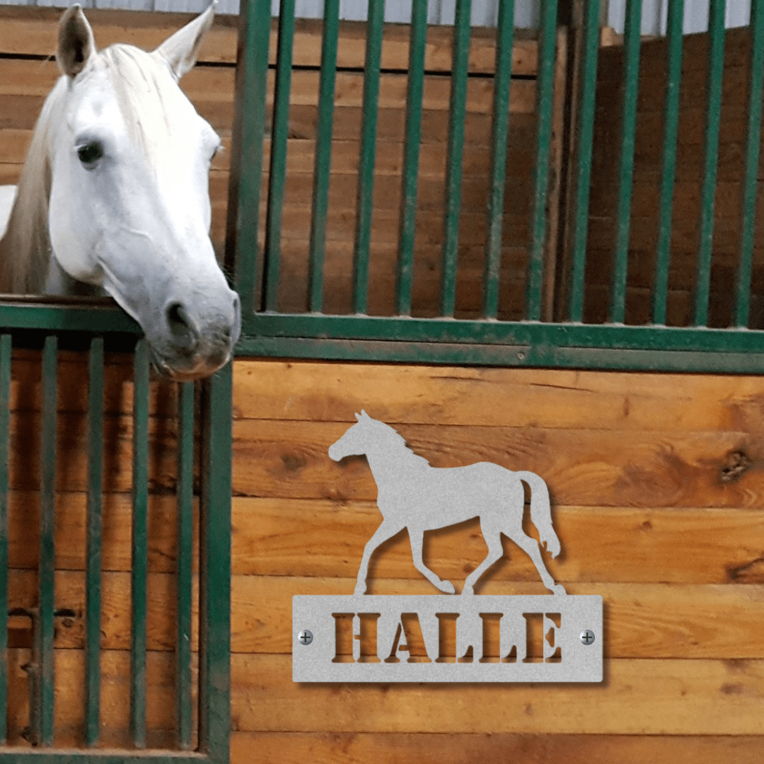 Wall Art Silver / 12 Inch Timeless Trot Nameplate