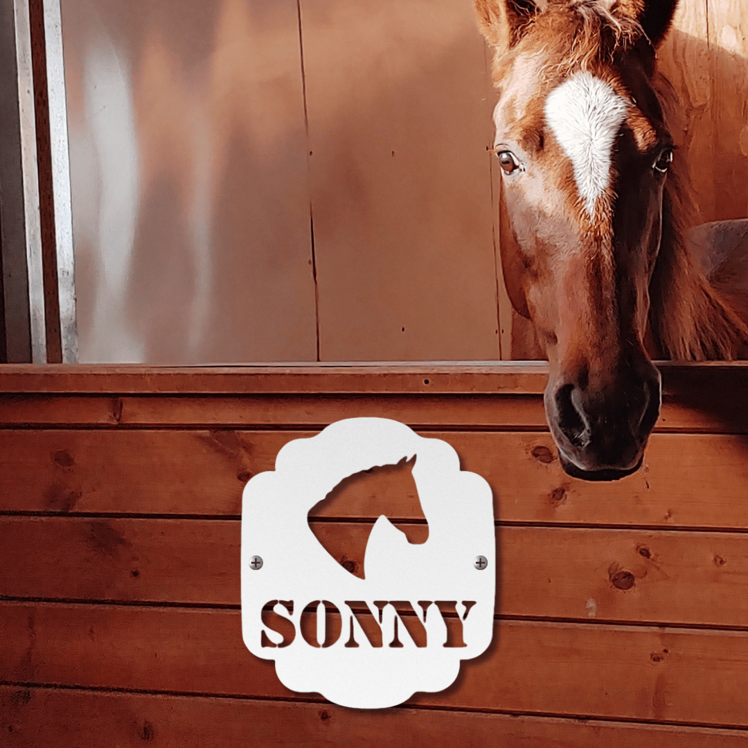 Wall Art White / 12 Inch Elegant Equine Profile Nameplate