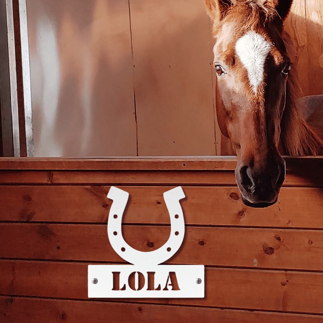 Wall Art White / 12 Inch Timeless Horseshoe Nameplate