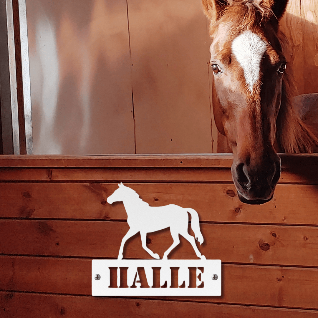 Wall Art White / 12 Inch Timeless Trot Nameplate